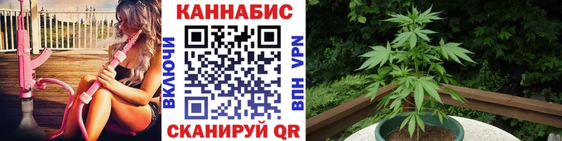 Магазины продажи наркотиков Гороховец Амфетамин  Бошки Шишки  Альфа ПВП  МЕФ  ГАШИШ 