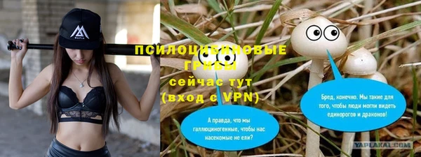 a pvp Дмитровск