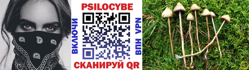 Псилоцибиновые грибы мицелий  купить закладку  Гороховец 